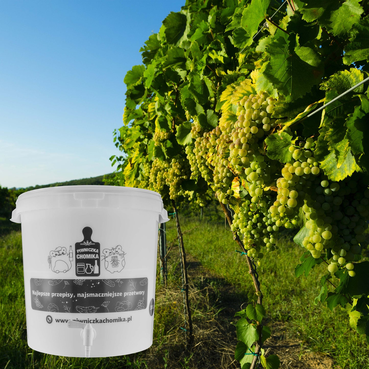 30L Home Brewing Fermenation Bucket with Lid & Tap