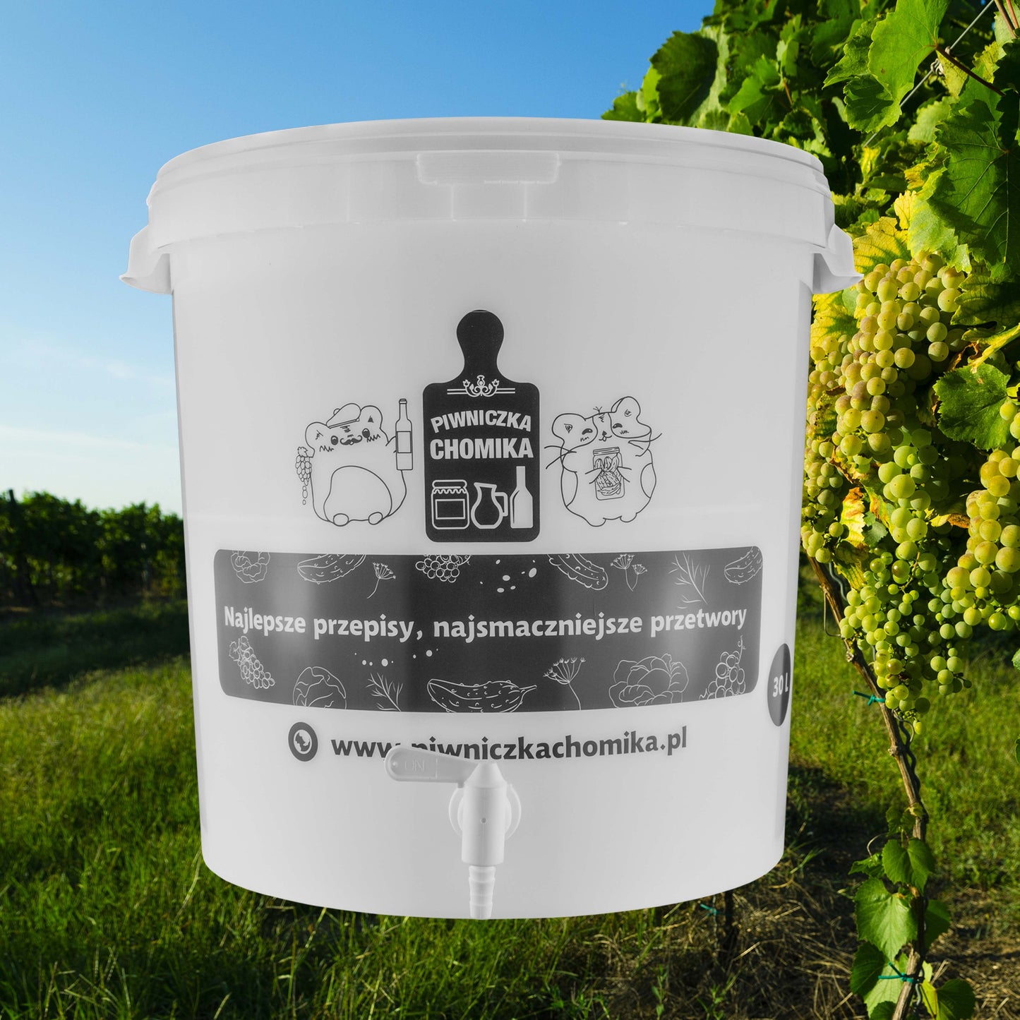 30L Home Brewing Fermenation Bucket with Lid & Tap
