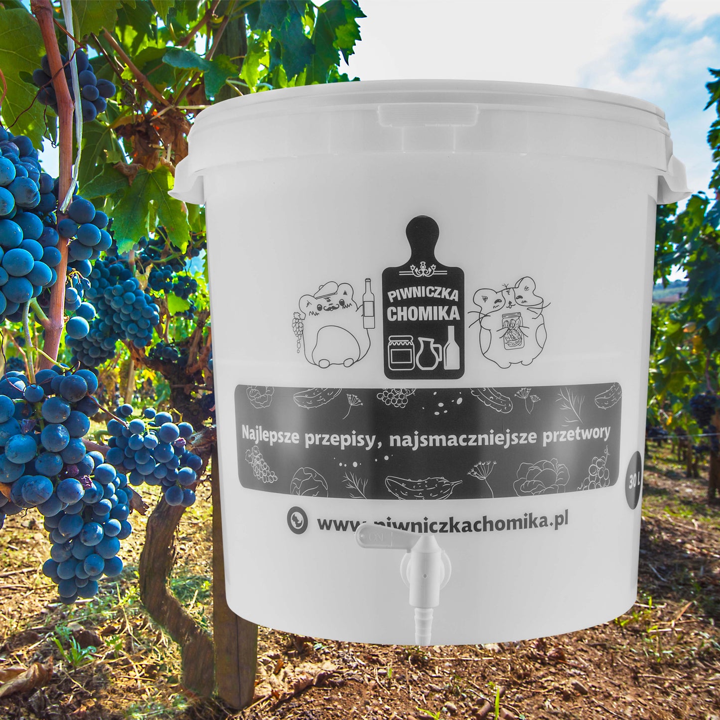 30L Home Brewing Fermenation Bucket with Lid & Tap