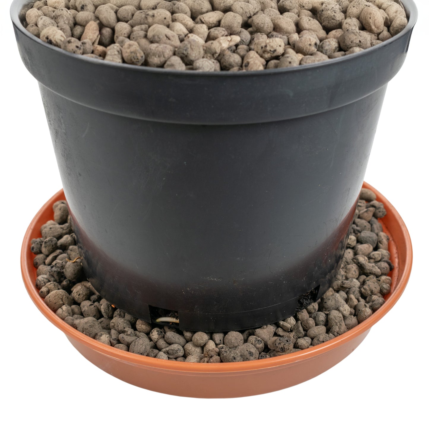 Clay Hydroponic Aggregate Pebbles, 4mm - 8mm