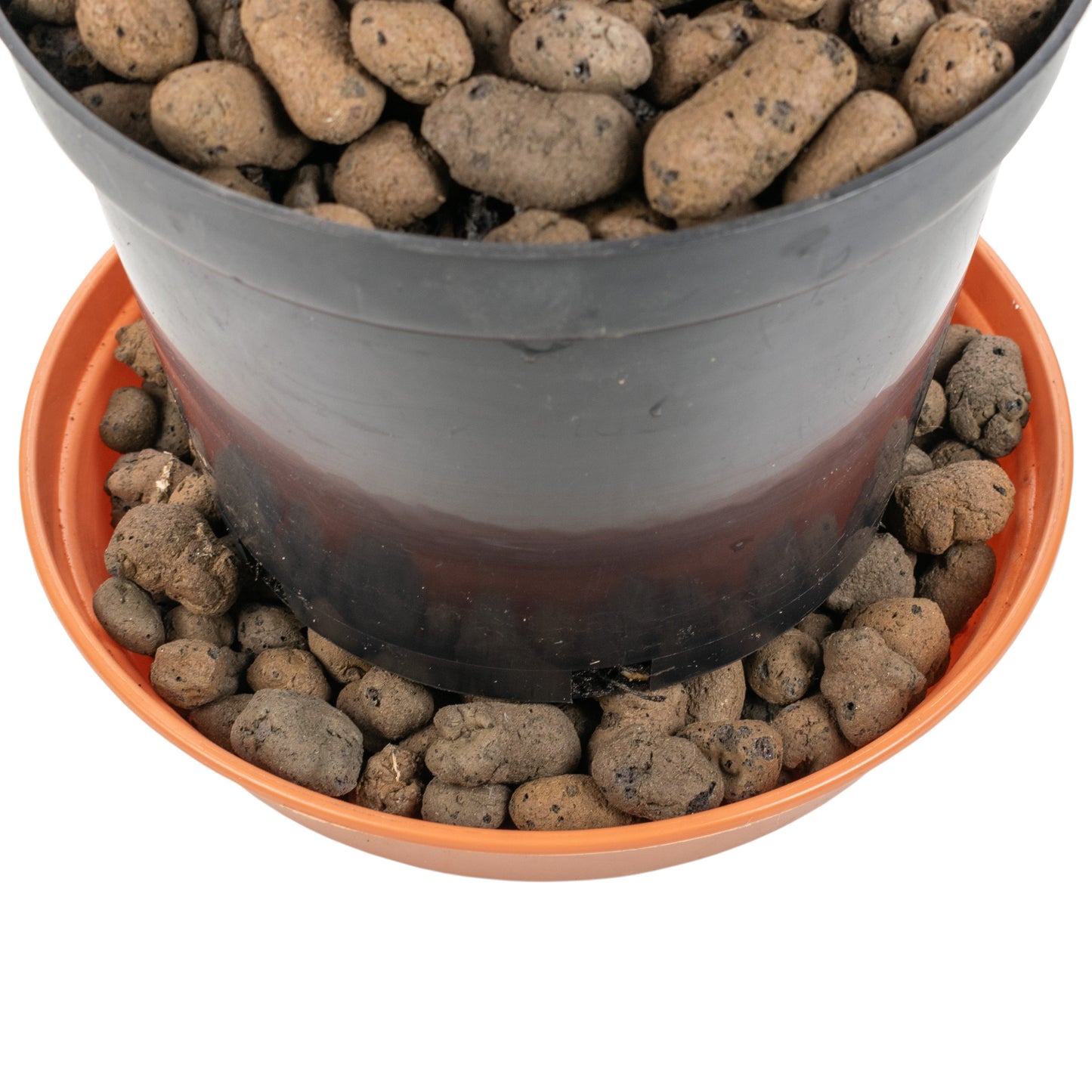 Clay Hydroponic Aggregate Pebbles, 8mm - 16mm
