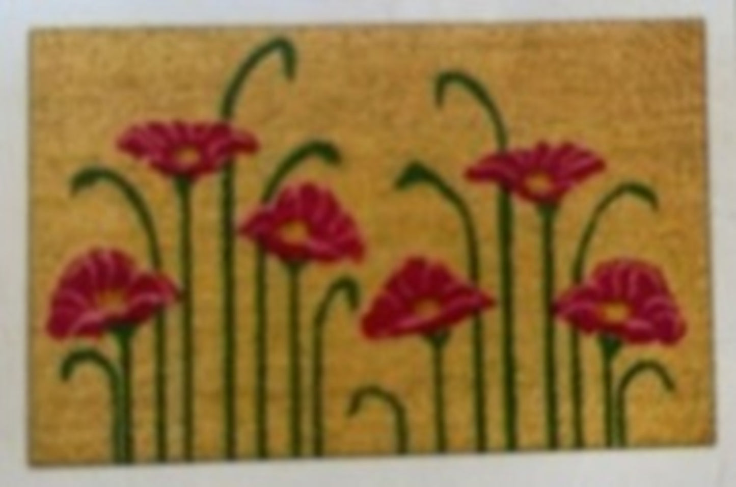 Coir Doormat, 60cm x 40cm - 'Poppy'