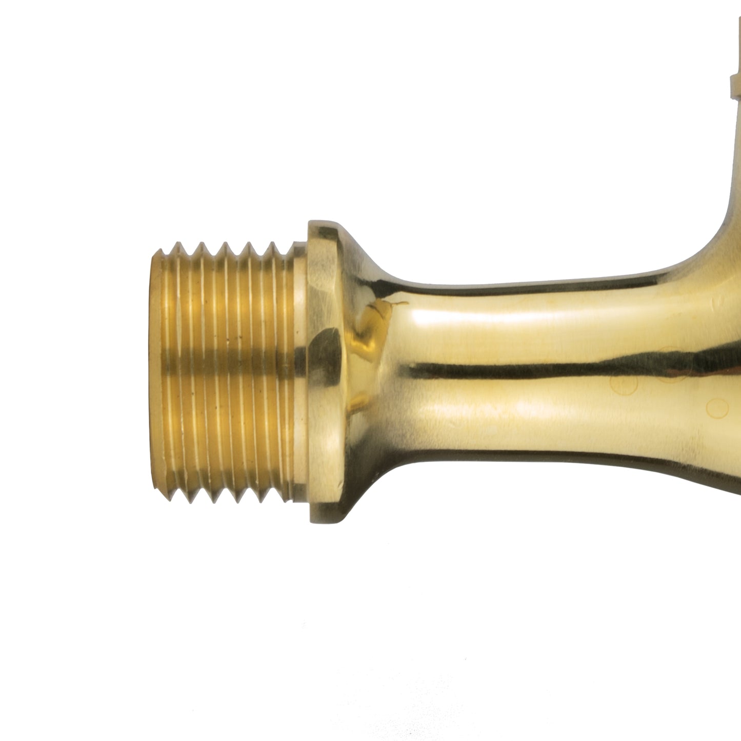 Polished Brass Barbed Bib Tap, 1/2" BSP x 19mm