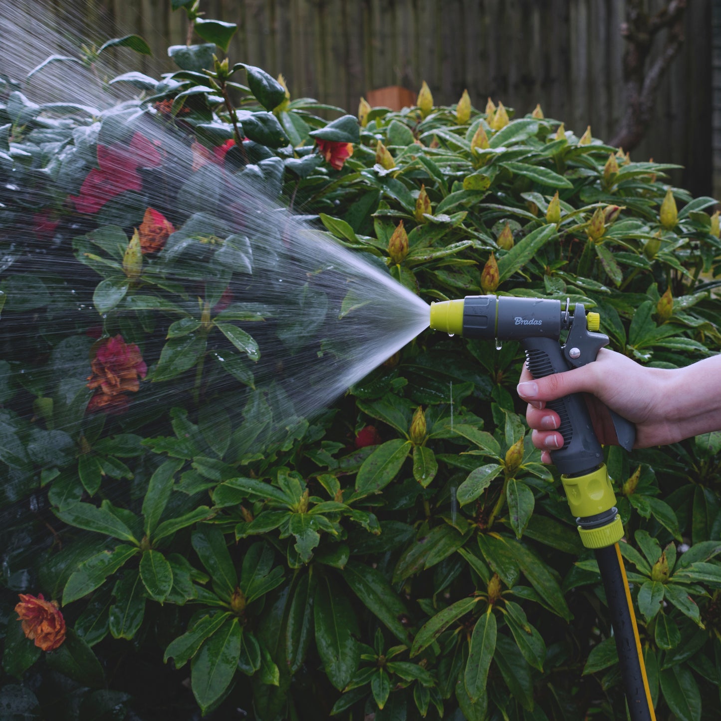 Grey & Lime Adjustable Flow Water Sprayer, LE5101