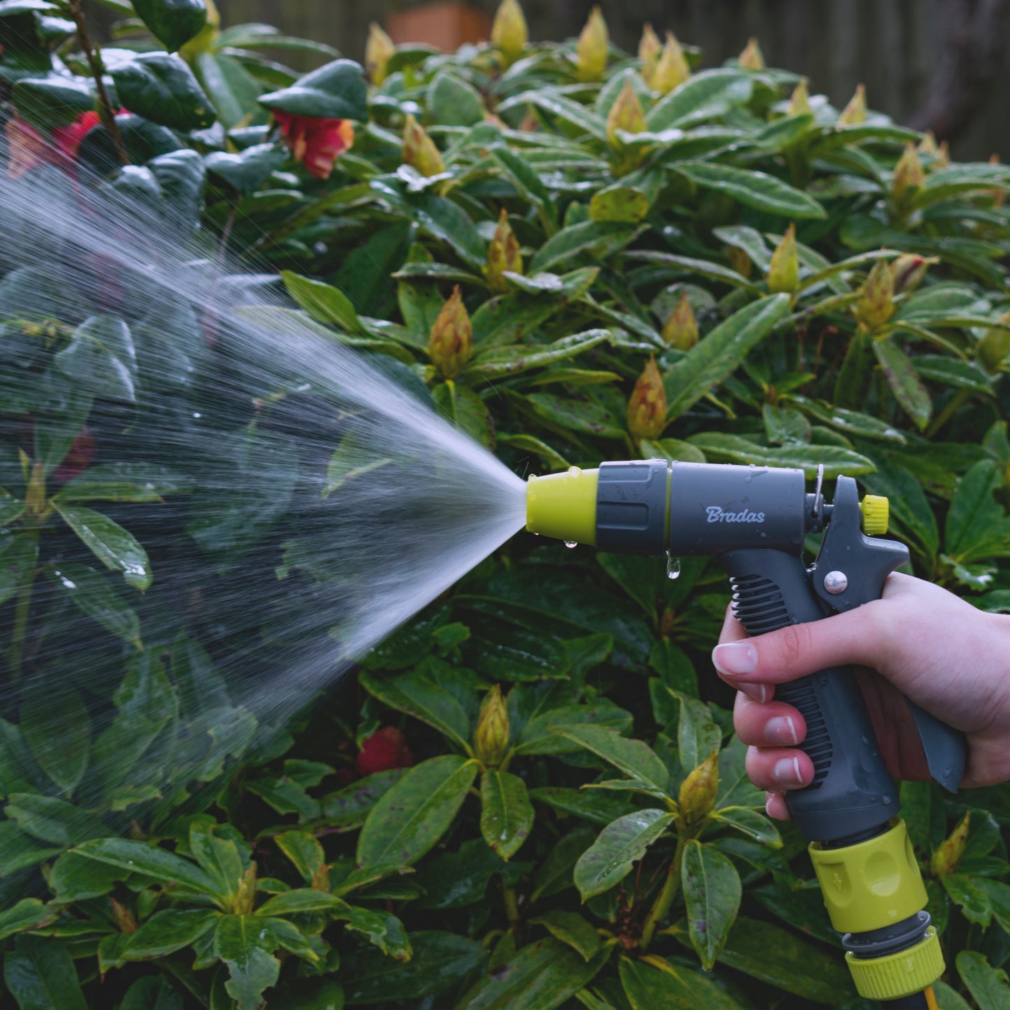 Grey & Lime Adjustable Flow Water Sprayer, LE5101