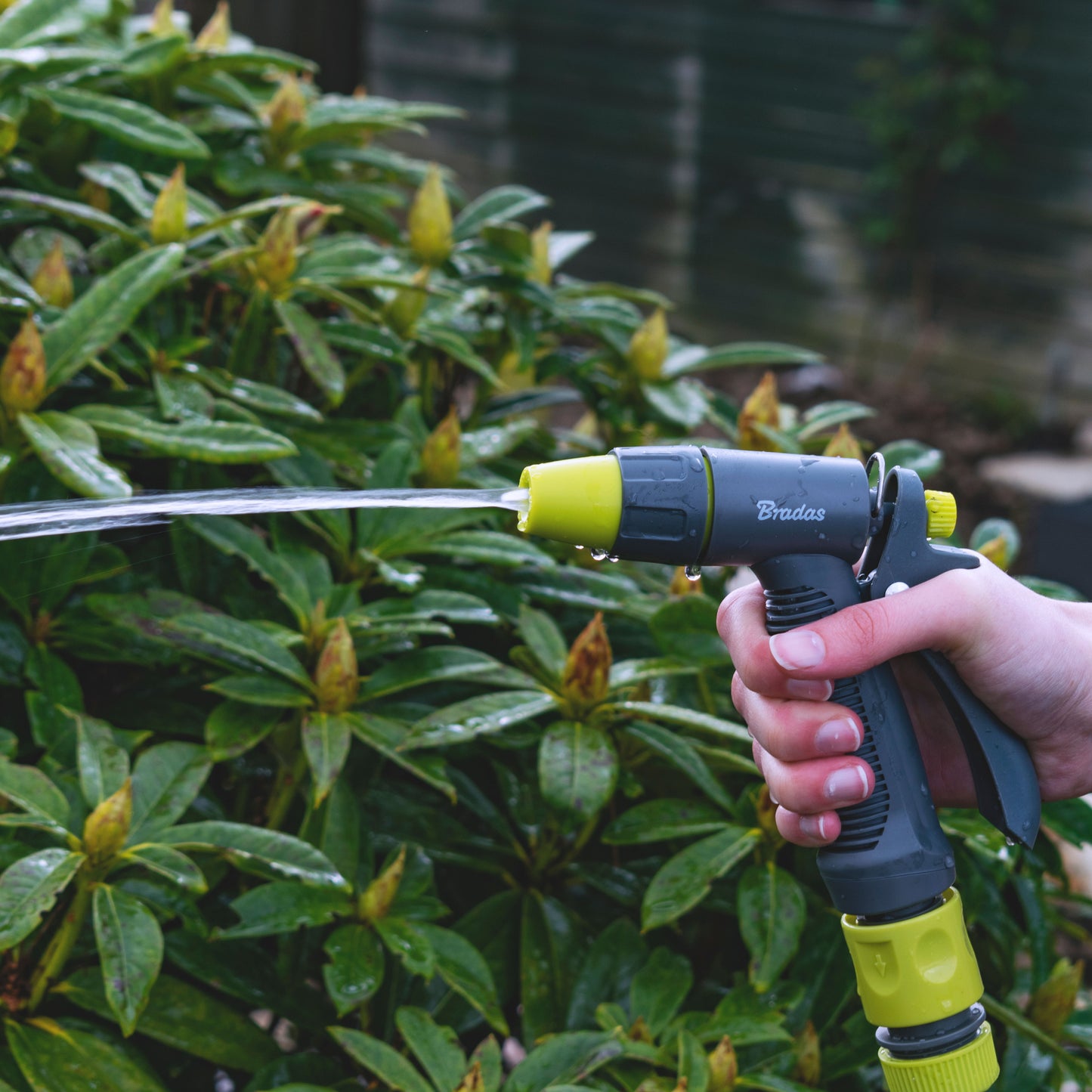 Grey & Lime Adjustable Flow Water Sprayer, LE5101