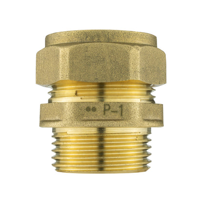 Brass Compression Adapter for 22mm Copper Piping, 3/4"