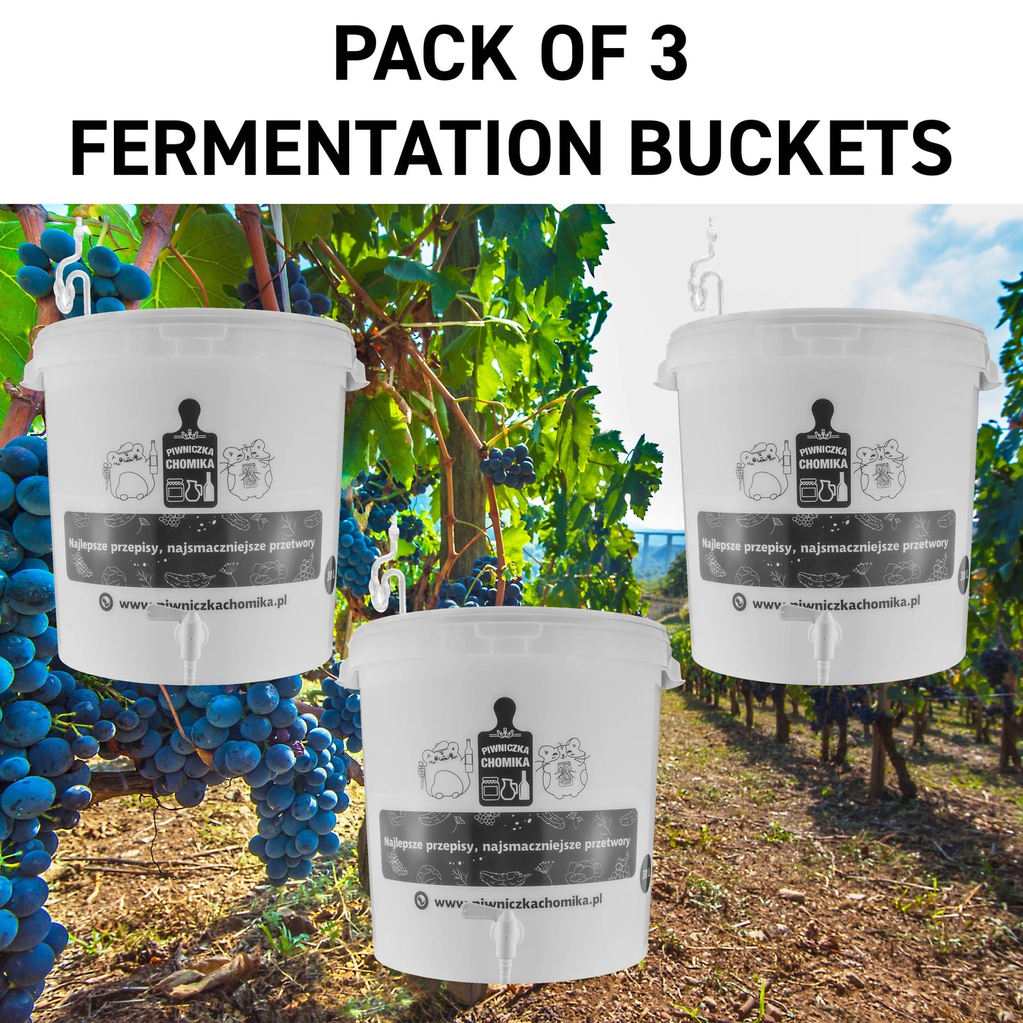 30L Home Brewing Fermenation Bucket with Lid & Tap