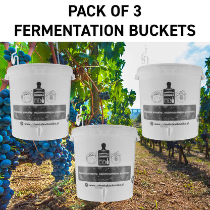 30L Home Brewing Fermenation Bucket with Lid & Tap