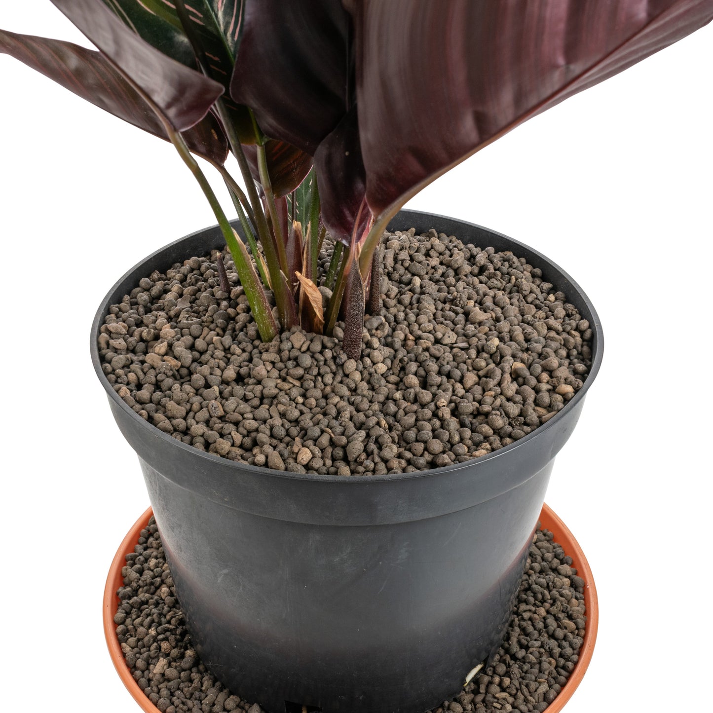 Clay Hydroponic Aggregate Pebbles, 1mm - 4mm
