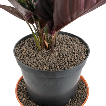 Clay Hydroponic Aggregate Pebbles, 1mm - 4mm