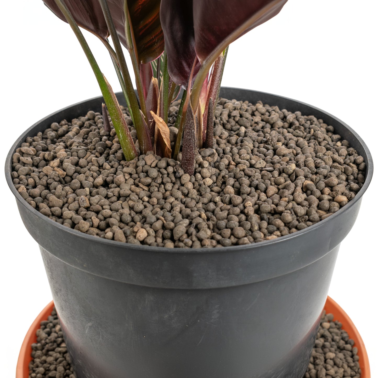 Clay Hydroponic Aggregate Pebbles, 1mm - 4mm