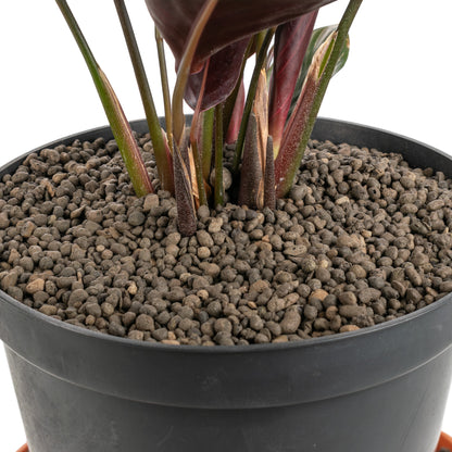 Clay Hydroponic Aggregate Pebbles, 1mm - 4mm