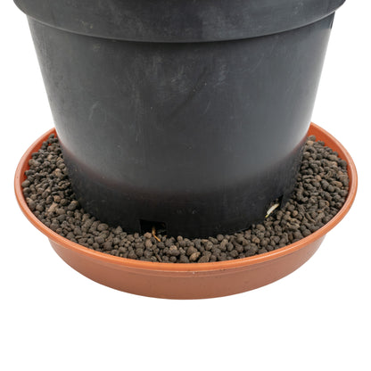 Clay Hydroponic Aggregate Pebbles, 1mm - 4mm