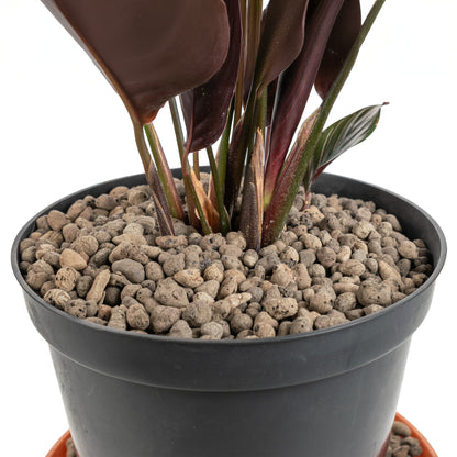 Clay Hydroponic Aggregate Pebbles, 4mm - 8mm