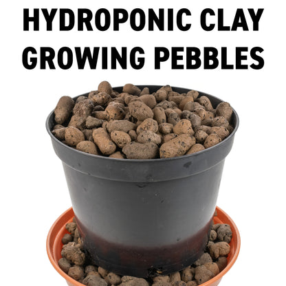Clay Hydroponic Aggregate Pebbles, 8mm - 16mm