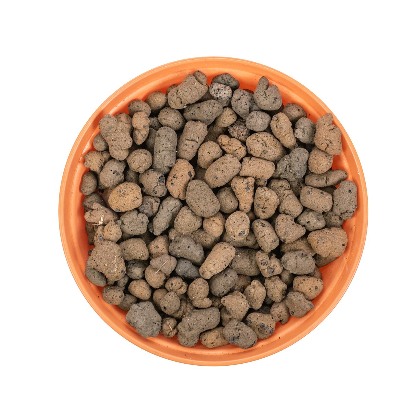 Clay Hydroponic Aggregate Pebbles, 8mm - 16mm