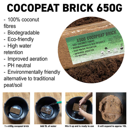 Organic Coconut Coir Fibre Natural Compost Brick, 650g