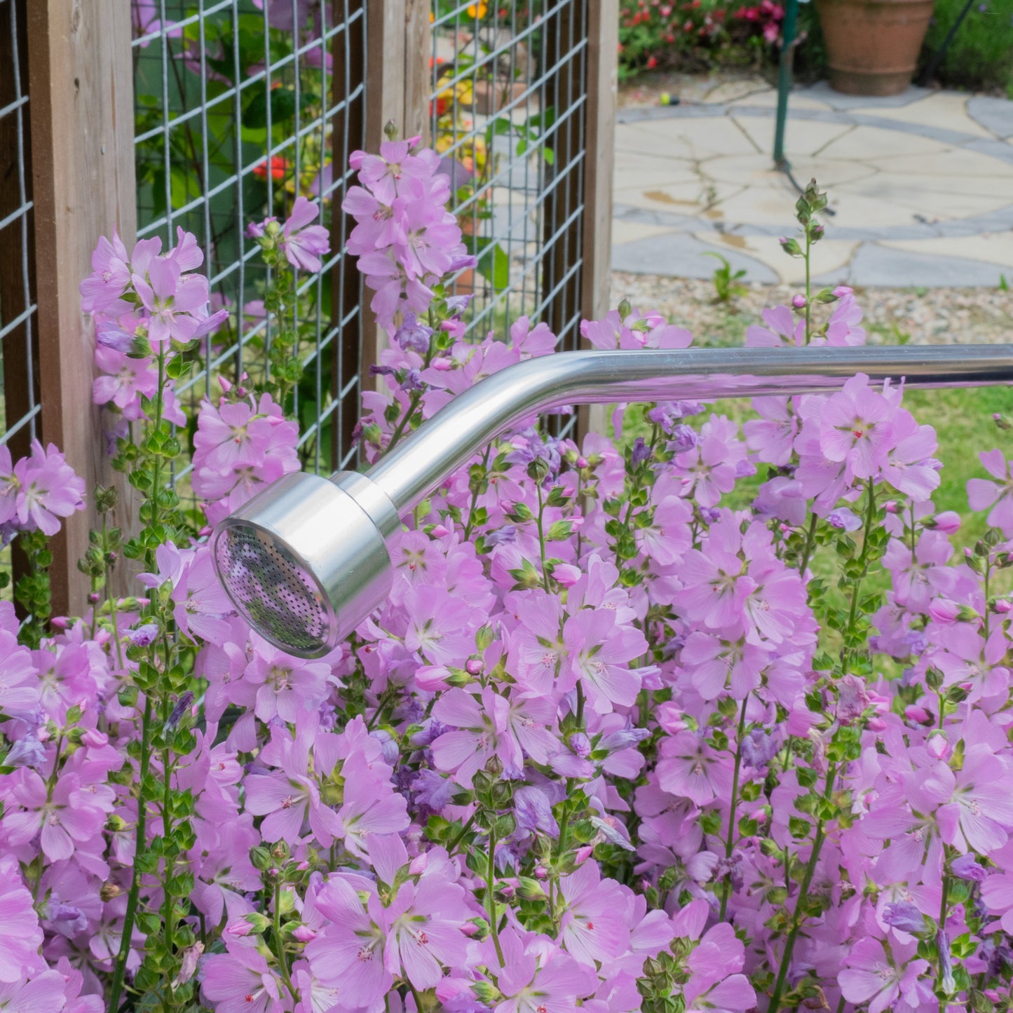 90cm Watering Lance with Rose, 3/4" BSP