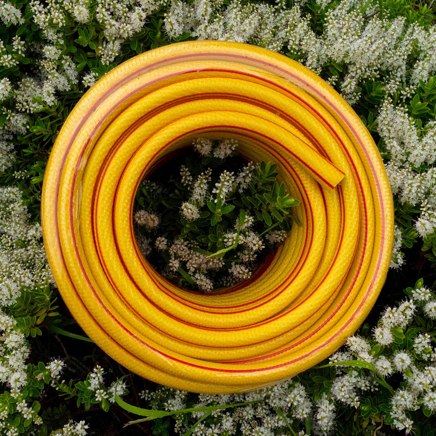 1/2" Yellow Premium Garden Hose Pipe, 6-Layer