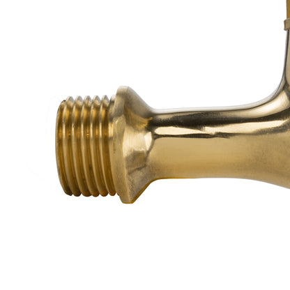 Polished Brass Barbed Bib Tap, 1/2" BSP x 13mm