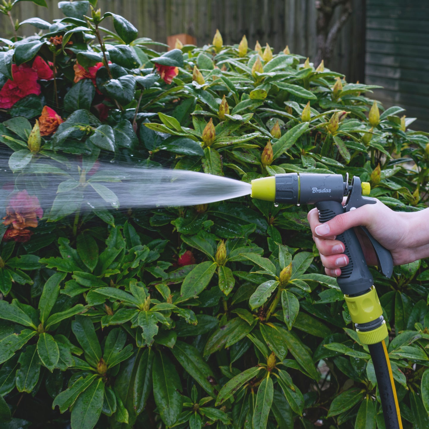 Grey & Lime Adjustable Flow Water Sprayer, LE5101