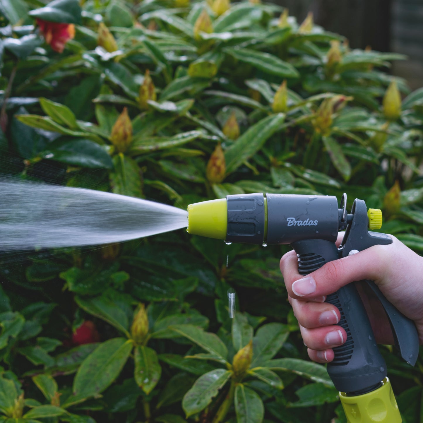 Grey & Lime Adjustable Flow Water Sprayer, LE5101