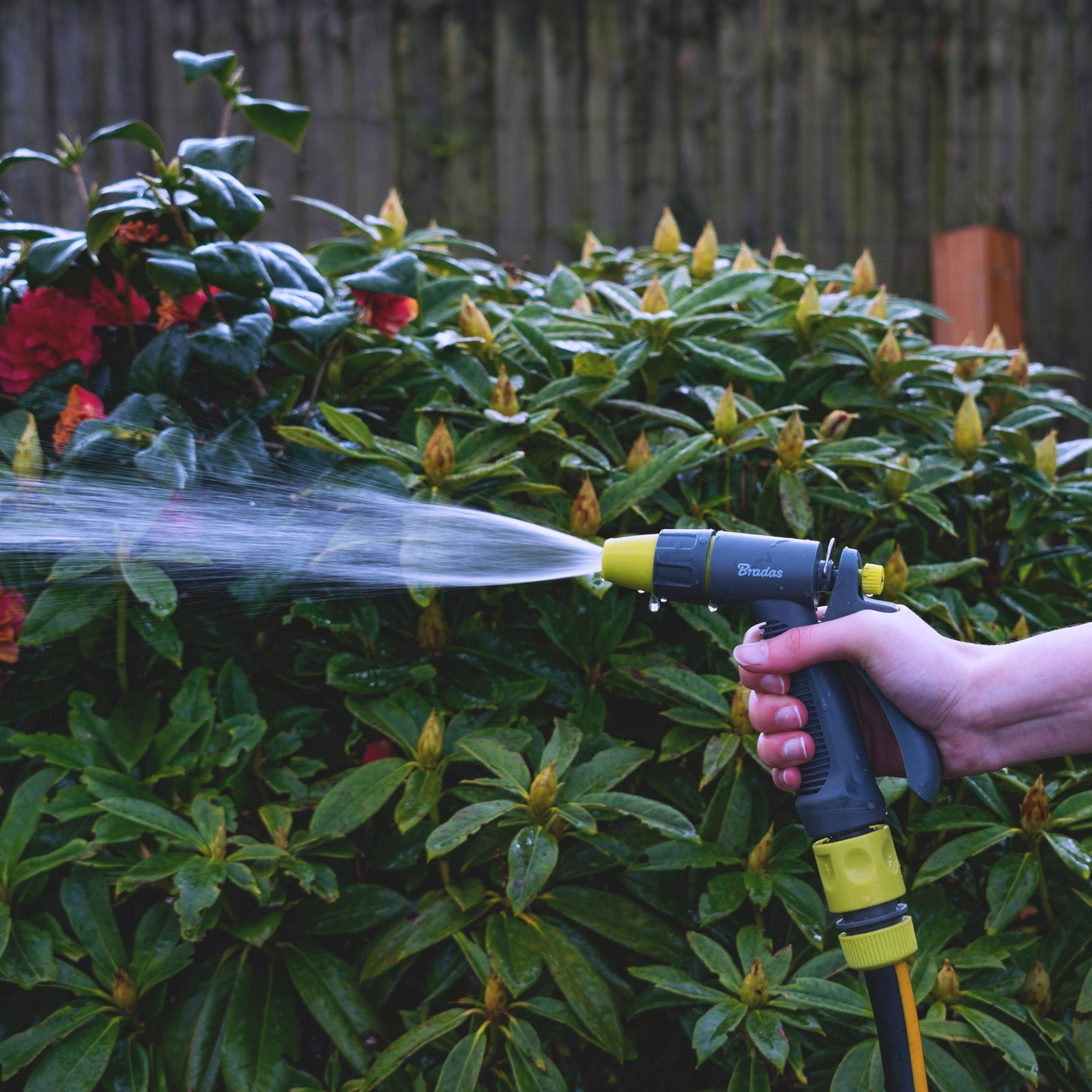 Grey & Lime Adjustable Flow Water Sprayer, LE5101