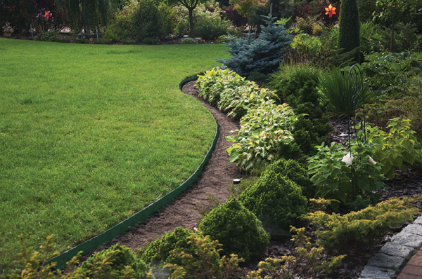 Green Curved Lawn Edging Set with Pegs, 50mm Height
