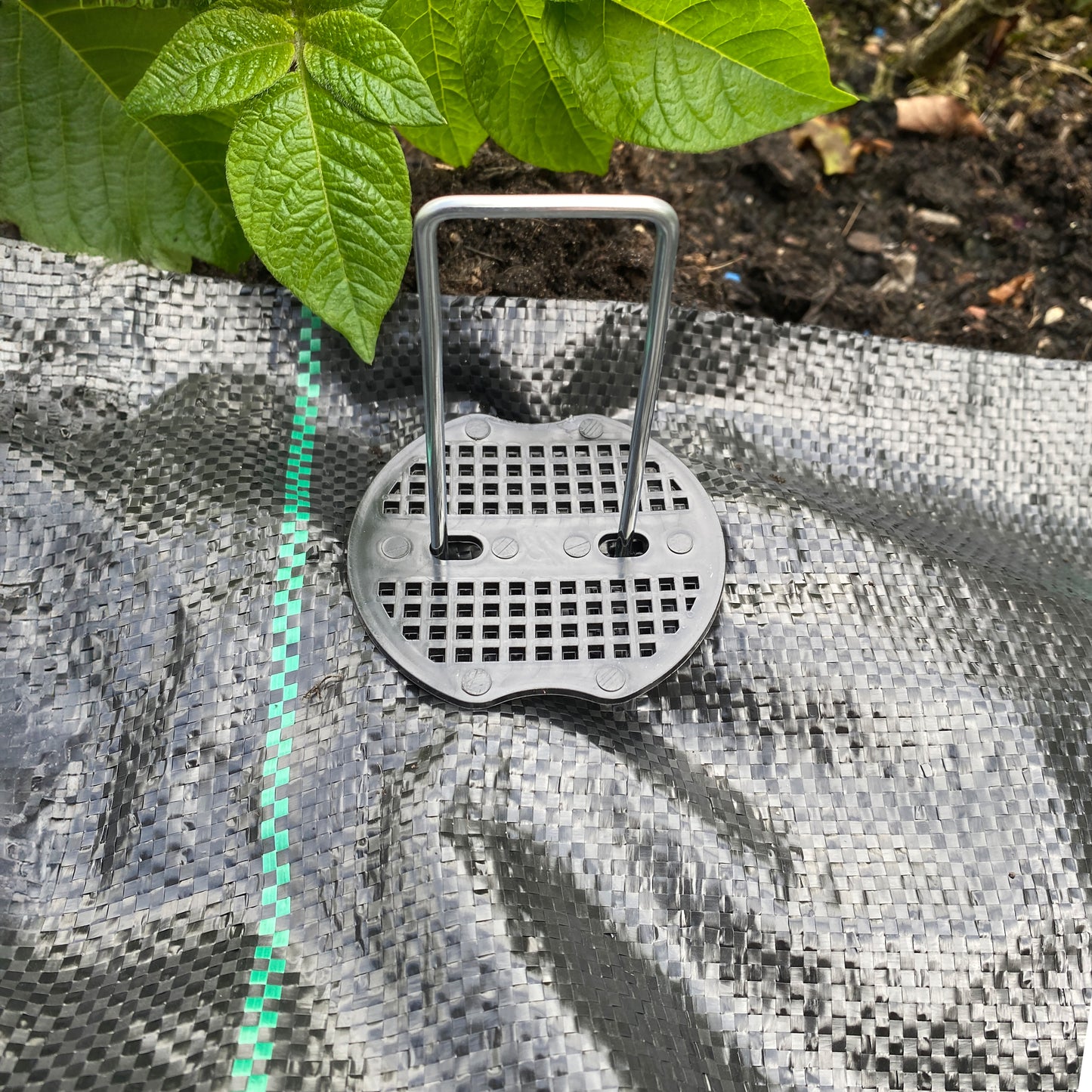 6" Weed Matting Pegs & Securing Washer, Blue Tool