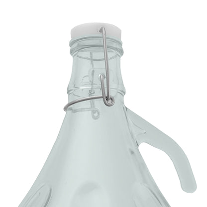 5L Clear Glass Demijohn Bottle with Swing-top Cap, Box of 4