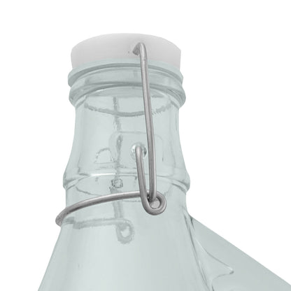 5L Glass Demijohns with Swing-top Caps, Airlocks & Bungs, Box of 4