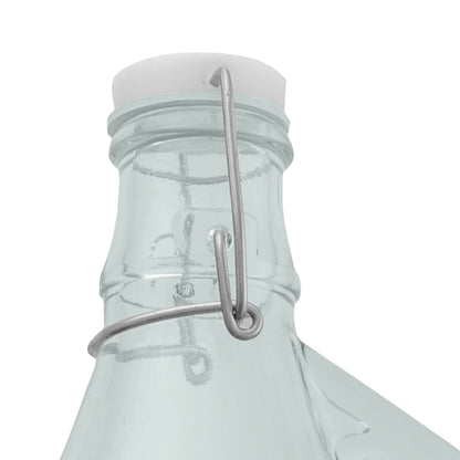 5L Clear Glass Demijohn Bottle with Swing-top Cap, Box of 4
