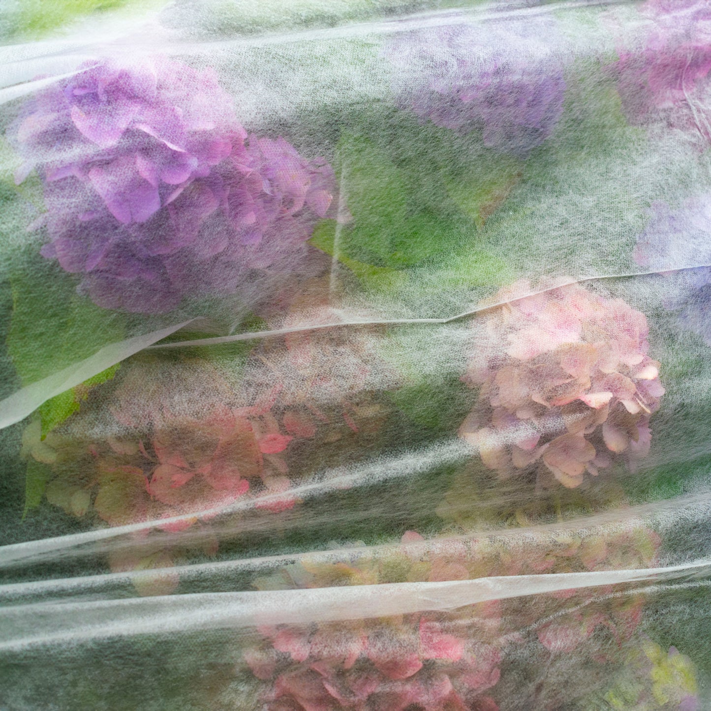17gsm Non-Woven Frost Protection Fleece 1.6m x 10m