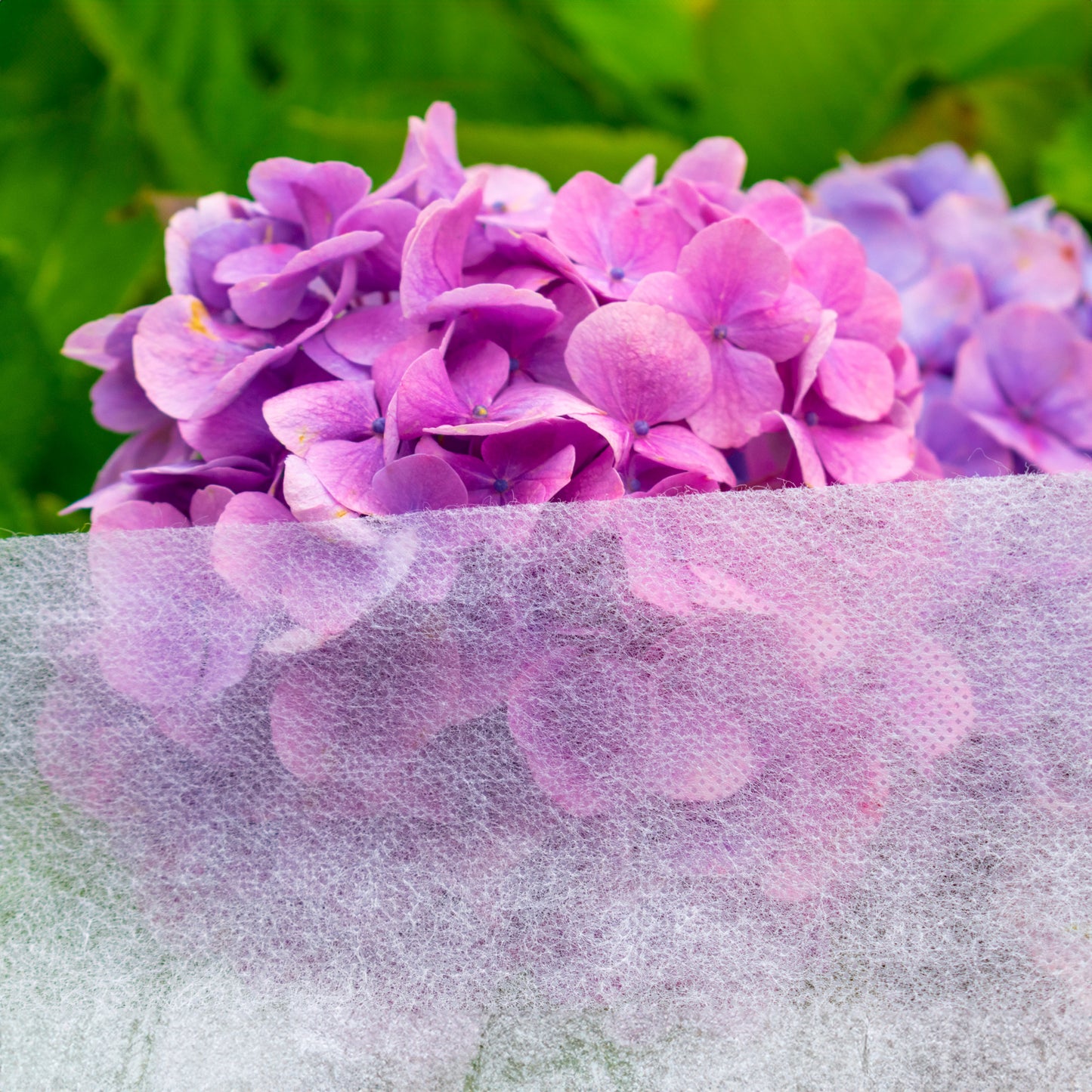 30gsm Non-Woven Frost Protection Fleece 1.1m x 5m