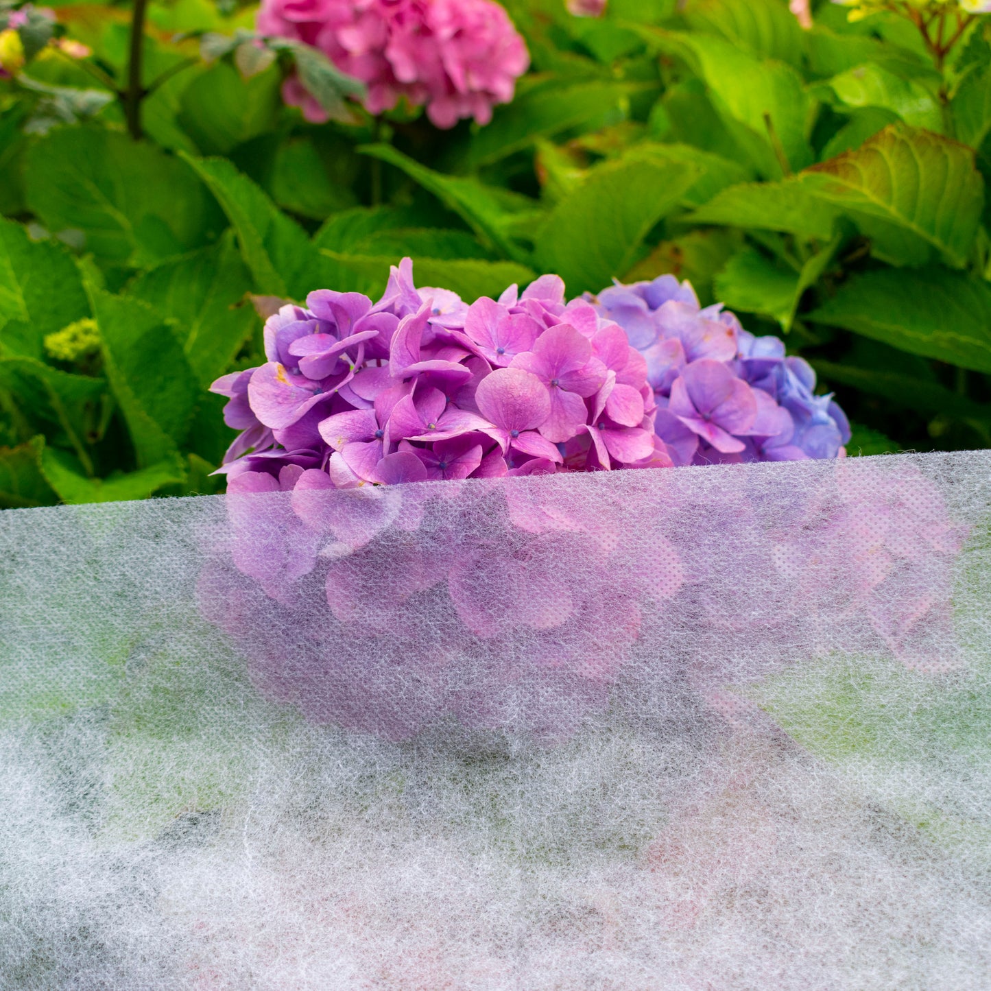 30gsm Non-Woven Frost Protection Fleece 1.1m x 5m